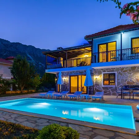 Villa Mavi Ada